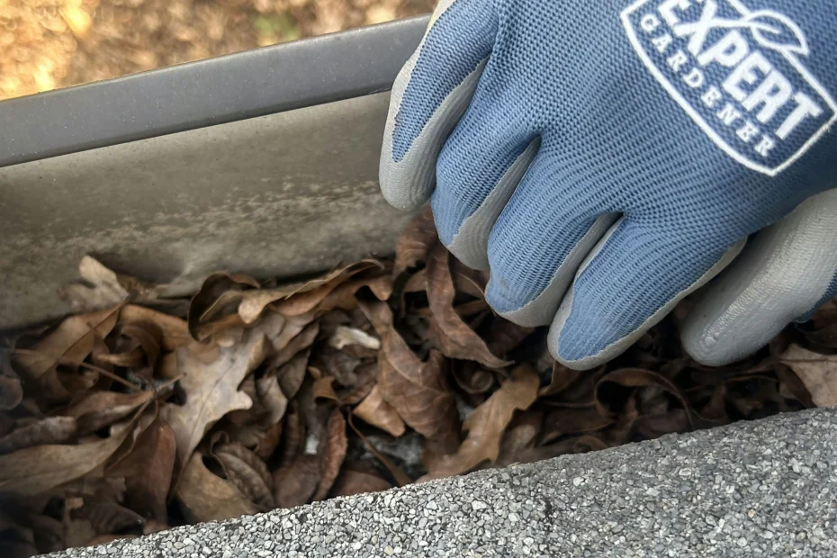 Gutter Cleaning Charleston