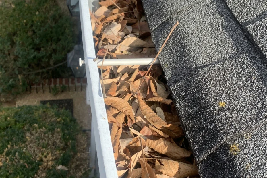 Gutter Cleaning Charleston