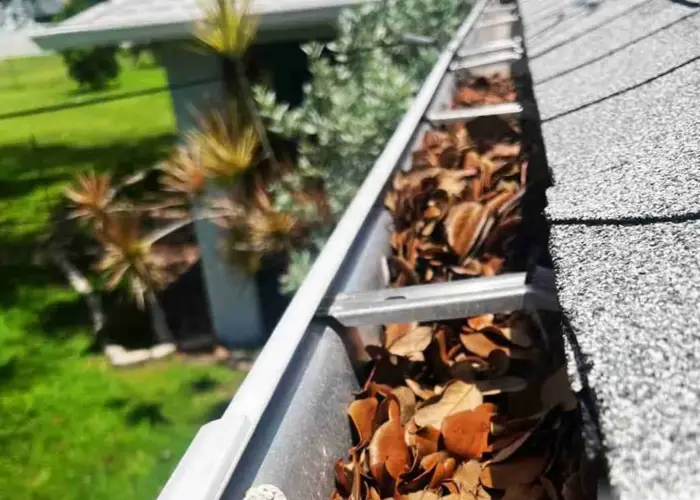 Gutter Cleaning Charleston home page